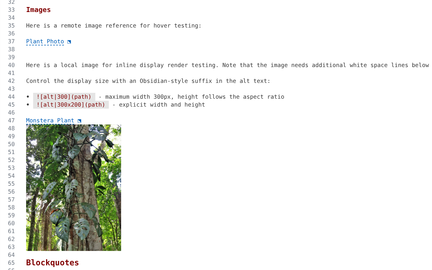 Inline Image Rendering in Markdown in VS Code
